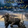 malikmuneer3030