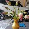 laibuishop
