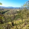 perti.camarena
