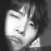 hsngslee