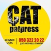 cat_patpress_temir_1995