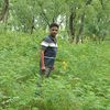 sayeed4611