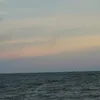minhletuan38