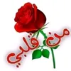 user6282616313605