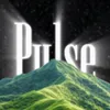 pulse_567