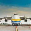 andrei_6969