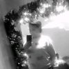 userc7q1w3mukg