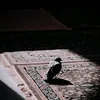 mojtaba