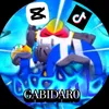 gabidar0_bs