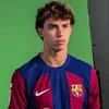 adamfarouky1
