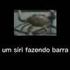 diabopereira