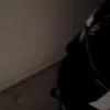 slvxwk7