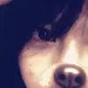 a_z_z_i_e_l_rorr