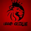 Virrey_GamingL5