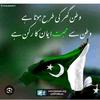 pakistanzindabad7446