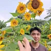 embexiu_1231