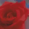 user054sqdjhnb