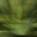 jbsucal_07