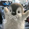 hearts4step