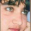 altafalishah57