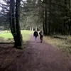 vvelizxz