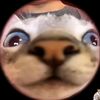 ken_tut2