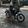 ogfeitoza