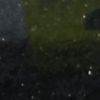 susu26690