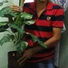 joeperak4