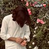 hammad512143