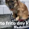 flavinrsrs