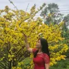 thoapham19851