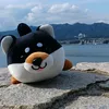 userv6wc20m29k