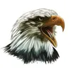 eagel33