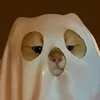 piarosw