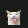 listerine_lol