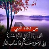 manar_912