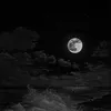 m_elanea