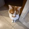 m..walk