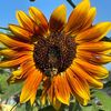 enterrandomnamehere1