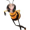 natyleivass