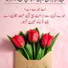sam_876