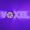 voxel_tt