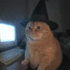 zzaebisz