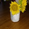 sunshineface7