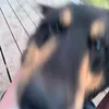 hi412321