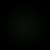 the_77lal