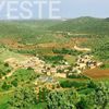 drejvedat01