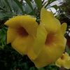 sofi_13_04_