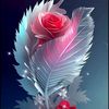 user1794814239954